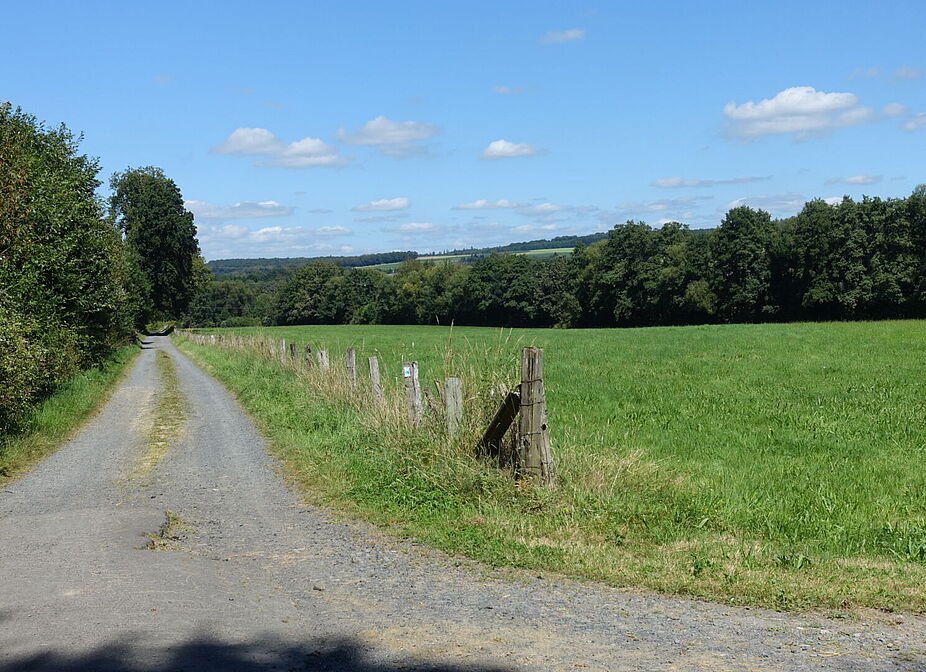 Im Westerwald 4 Im Westerwald 4