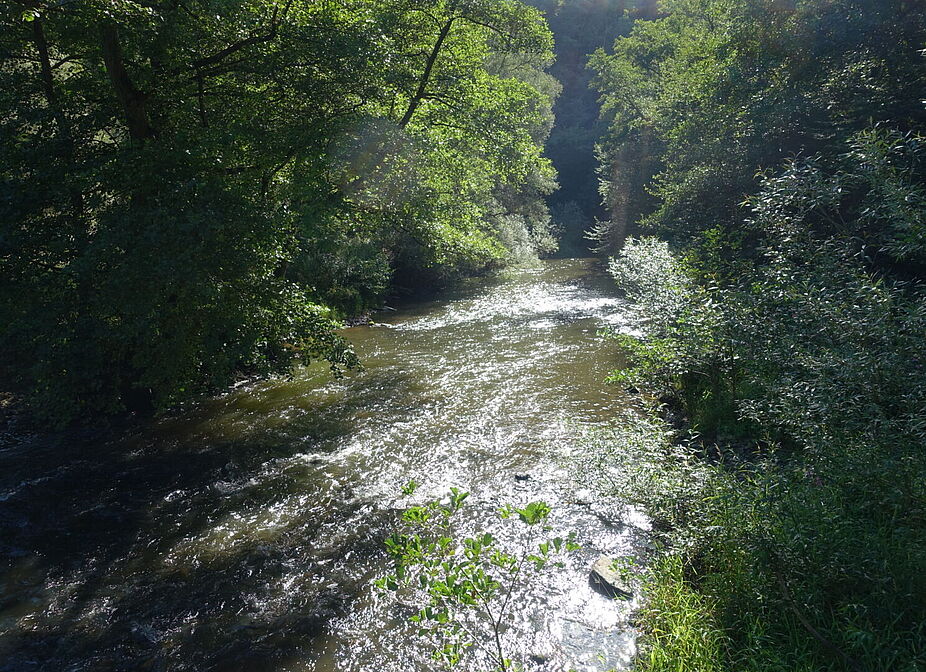 Im Westerwald 10 Im Westerwald 10