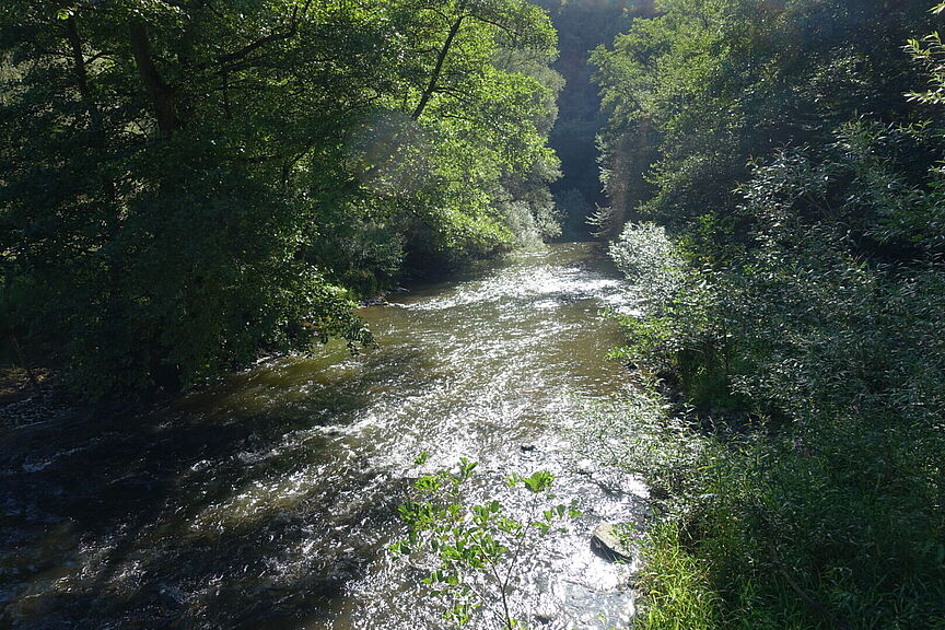 Im Westerwald 10 Im Westerwald 10