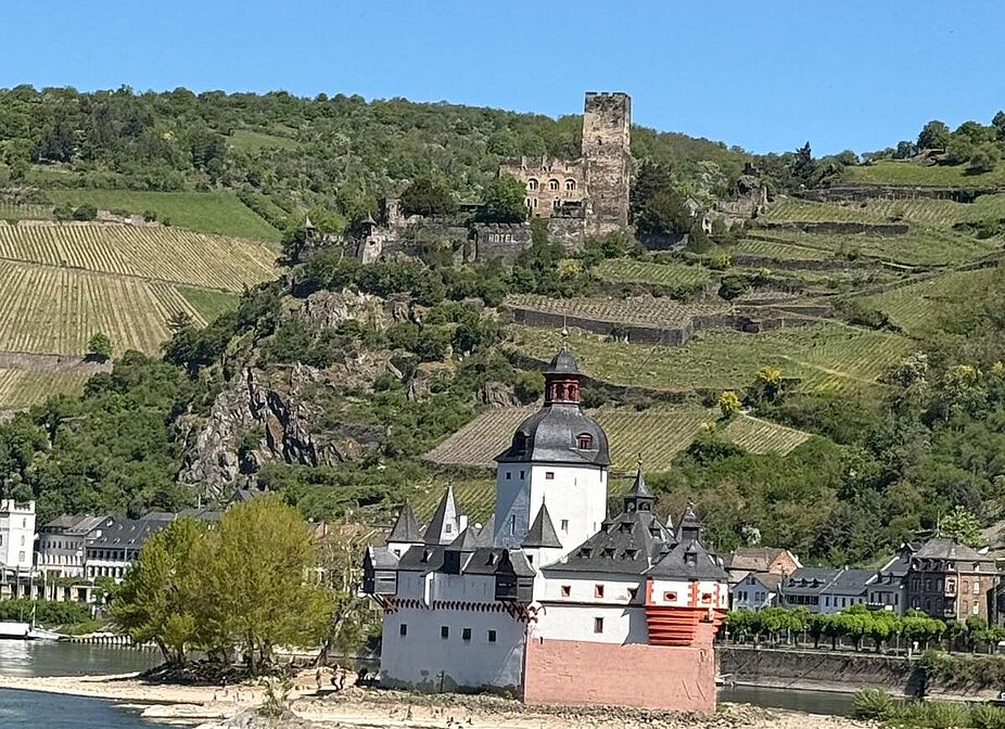 Pfalzgrafenstein Blick auf PFalzgrafenstein bei Kaub