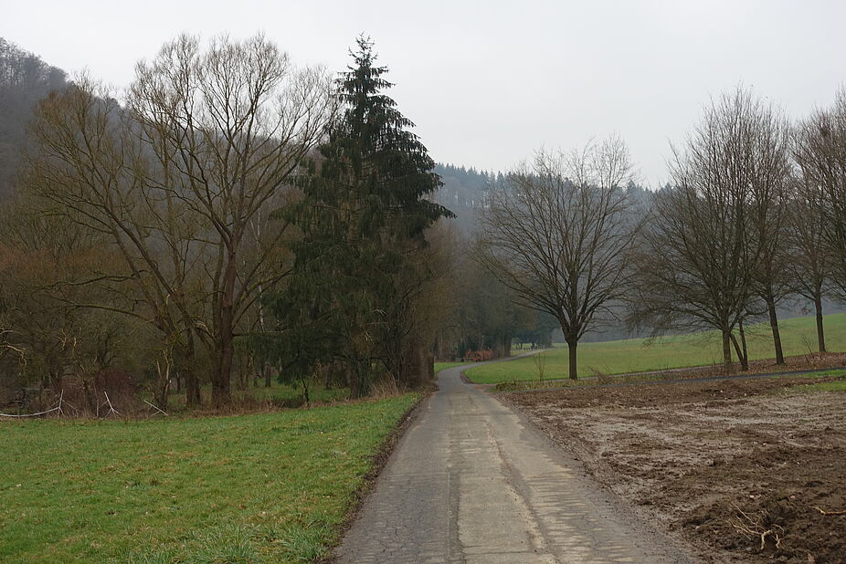 Schlechte Wegstrecke Schlechte Wegstrecke auf Lahnradweg
