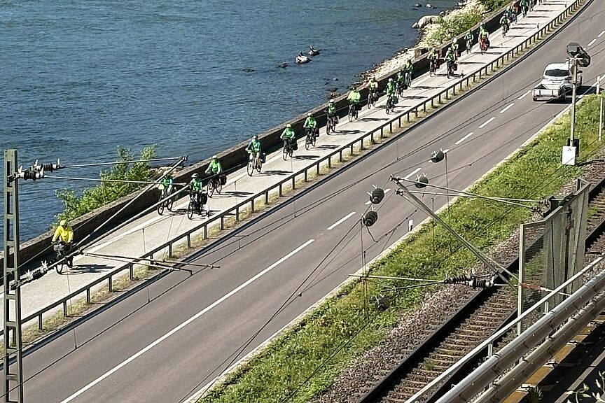 Gruener_Lindwurm Grüne Schlange am Bopparder Hamm